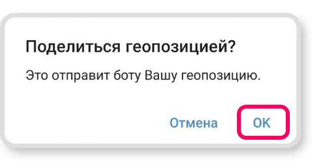 Step 7